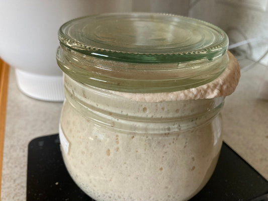Glutenfreier Sauerteig