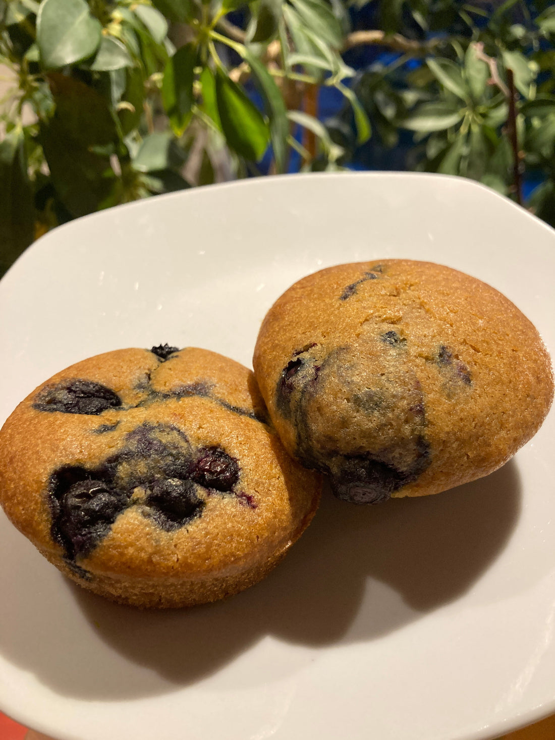 Glutenfreie Heidelbeer-Muffins