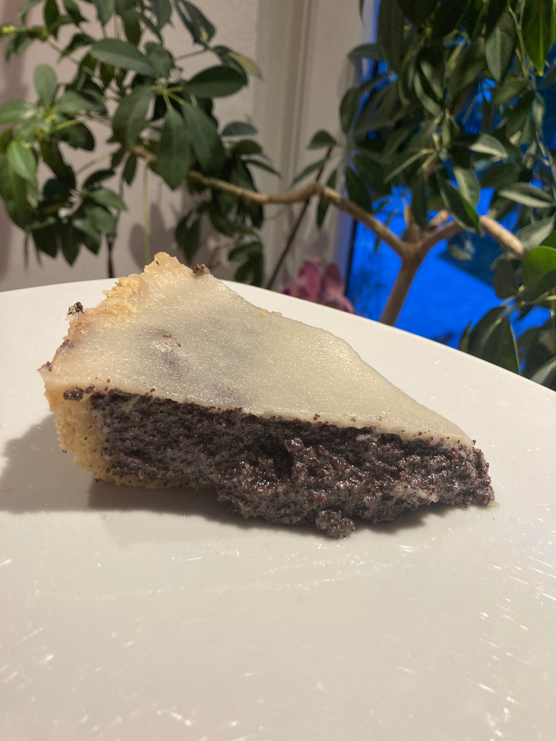 glutenfrei vegan mohnkuchen sorghum